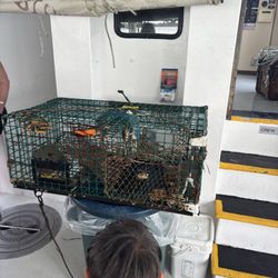 Plymouth Cruises Aboard Lobster Tales - Crab box!