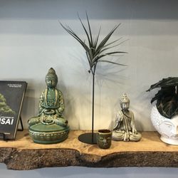 Stem & Stone