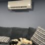 Photo of Polar Solar