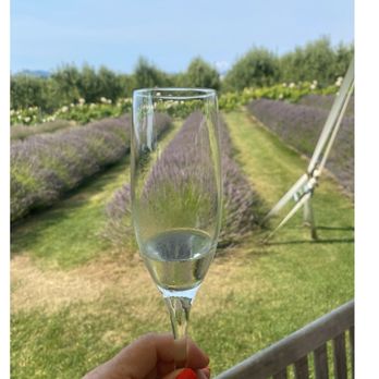 The Orchard - Venues & Event Spaces Near Me - Hood River, Oregon The Orchard - Venues & Event Spaces Near Me - Hood River, Oregon