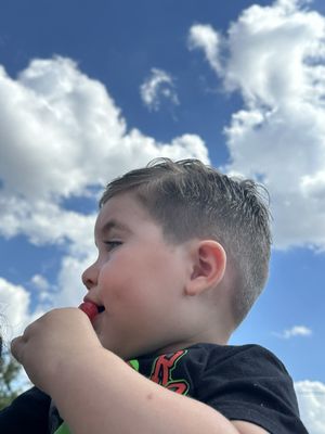 Birds Barbershop by null