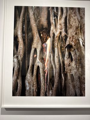 National Museum of Women in the Arts by null