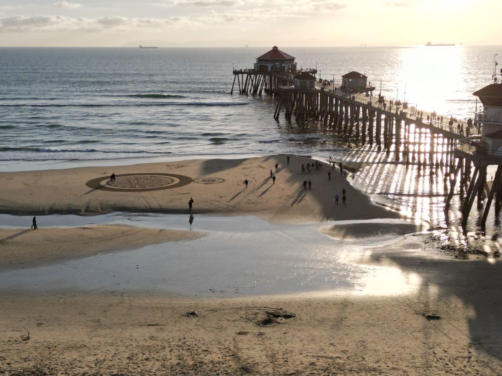 Low Tide Wellness Logo