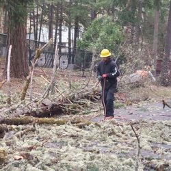 Patriot Tree Service