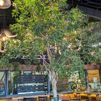 For Tomorrow We Die Brewing - Brewpubs Near Me - Salem, Oregon For Tomorrow We Die Brewing - Brewpubs Near Me - Salem, Oregon