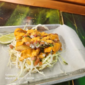 Tacos el Patron - Tacos Near Me - Cypress, Texas