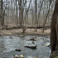 Johnston Mill Nature Preserve
