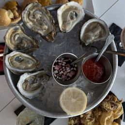 Oysters