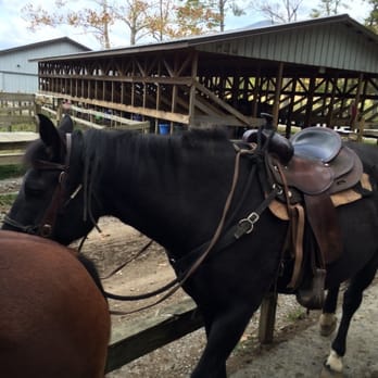 Cades Cove Campground Store and Bike Rental - Horseback Riding Near Me - Townsend, Tennessee Cades Cove Campground Store and Bike Rental - Horseback Riding Near Me - Townsend, Tennessee