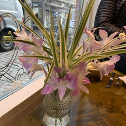 Perchs Thehandel og Tearoom - Orchids