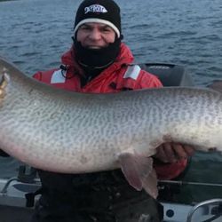 Lakes Area Bait Shop - 53 pounds / 54"
