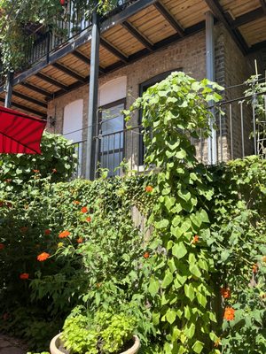 Tuscan Hen Market by null