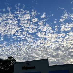 CVS PHARMACY Rye Brook, NY - Updated November 2024 - 12 Photos ...