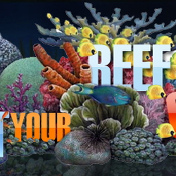 Reef On
