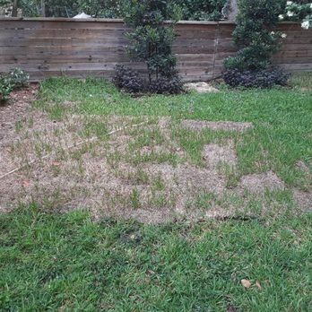 Aaron Agriculture - More than 50 pieces of bad sod. - Landscaping Near Me - Miami, Florida