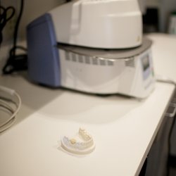 Reynolds Michelle Dmd - In our onsite laboratory, where we put the finishing touches on our 1-visit crowns and bridges.
