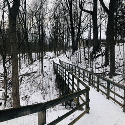 Cascade Valley Metro Park - Schumacher Trail