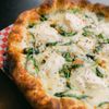 Drunken Elephant Pizza & Brews gift card