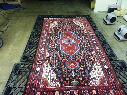 Psh Cleaning Service 5640 Summer Ave Memphis Tn Construction Building Contractors Mapquest