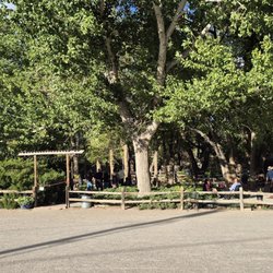 Old Town Farm - What's behind these trees?