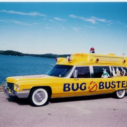 Bug Busters