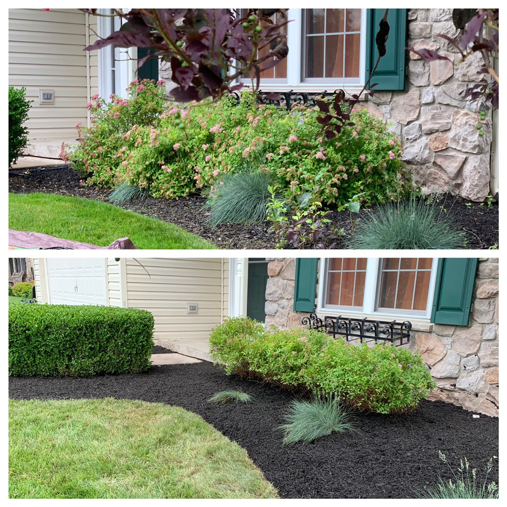 PITCHFORK LANDSCAPING Updated September 2024 14 Photos
