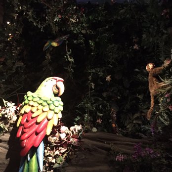 Rainforest Cafe - American Near Me - San Antonio, Texas