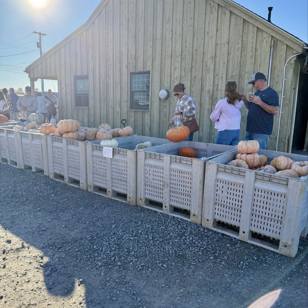 Navarino Orchard - Fruits & Veggies Near Me - Syracuse, New York
