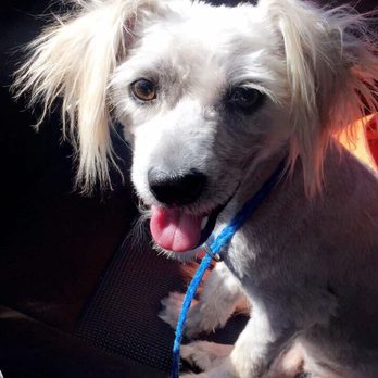PetSmart - Pet Stores Near Me - Casa Grande, Arizona