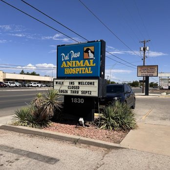 Dal Paso Animal Hospital - Got my new dog's vaccinations in just in time. (8/23/2024) - Veterinarians Near Me - Hobbs, New Mexico Dal Paso Animal Hospital - Got my new dog's vaccinations in just in time. (8/23/2024) - Veterinarians Near Me - Hobbs, New Mexico
