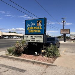 Dal Paso Animal Hospital - Got my new dog's vaccinations in just in time. (8/23/2024)