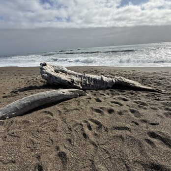 Moonstone Beach - Driftwood on the beach - Beaches Near Me - Cambria, California Moonstone Beach - Driftwood on the beach - Beaches Near Me - Cambria, California