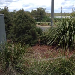 Staging Post Cafe & Restaurant - View from inside cafe