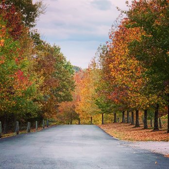 Blue Sky Vineyard - View of the drive in - Wineries Near Me - Makanda, Illinois