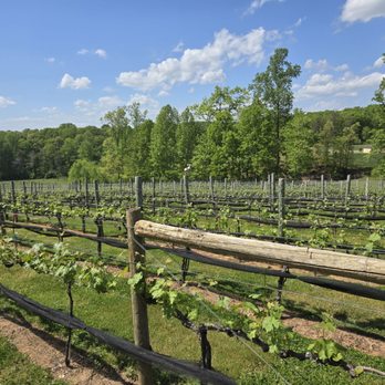 Fables & Feathers Winery - Wineries Near Me - Goodview, Virginia