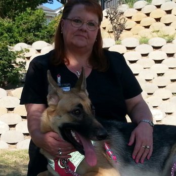 Pawsitively Obedient Dog Training - Pet Training Near Me Pawsitively Obedient Dog Training - Pet Training Near Me