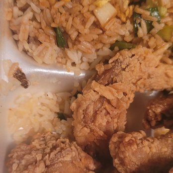 Cajun Seafood - I bought 2 10pcs wings with Shrimp fried rice and there was a roach in my rice - Seafood Near Me - New Orleans, Louisiana Cajun Seafood - I bought 2 10pcs wings with Shrimp fried rice and there was a roach in my rice - Seafood Near Me - New Orleans, Louisiana