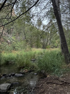 Cave Springs Campground by null
