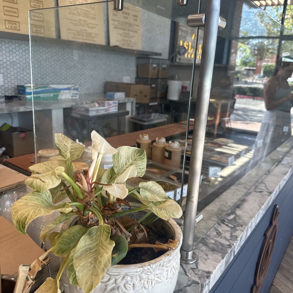 Island Bodega - Acai Bowls Near Me - Cerritos, California