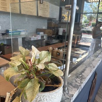 Island Bodega - Acai Bowls Near Me - Cerritos, California Island Bodega - Acai Bowls Near Me - Cerritos, California