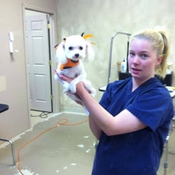 Doggie Do's of Lawrenceville