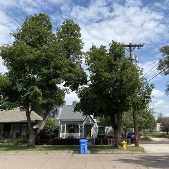 A-Class Tree Service - Both trees after service - Tree Services Near Me - Colorado Springs, Colorado A-Class Tree Service - Both trees after service - Tree Services Near Me - Colorado Springs, Colorado