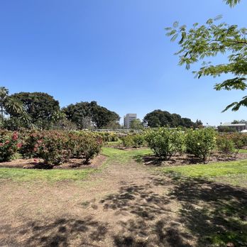 Exposition Park Rose Garden - Botanical Gardens Near Me - Los Angeles, California