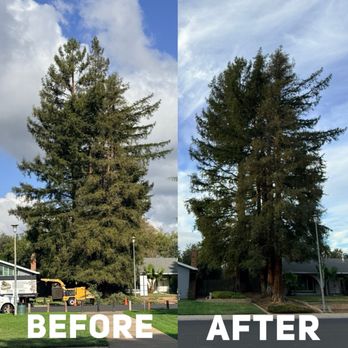 All Terrain Tree Service - Tree Services Near Me - Sacramento, California All Terrain Tree Service - Tree Services Near Me - Sacramento, California