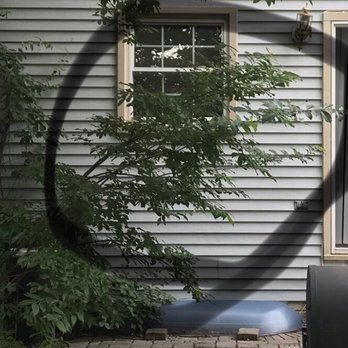 Chavez Tree Service - Bush growing over our patio. - Tree Services Near Me