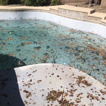 Blue Koi Pool Care - Before - Pool Cleaners Near Me Blue Koi Pool Care - Before - Pool Cleaners Near Me
