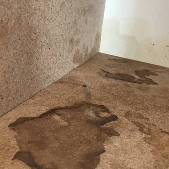 Christina's All Purpose Cleaner - Office Cleaning Near Me