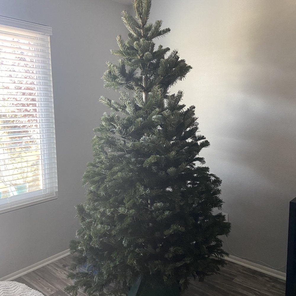Purchased our tree here this year Purchased our tree here this year