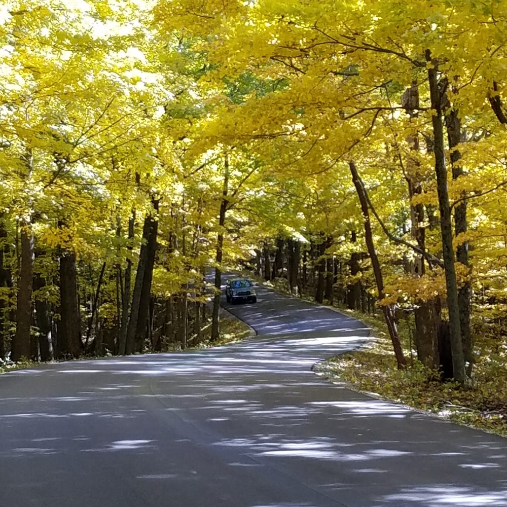 Brown County State Park - Yellow leaves line the roadway - Hiking Near Me - Nashville, Indiana Brown County State Park - Yellow leaves line the roadway - Hiking Near Me - Nashville, Indiana