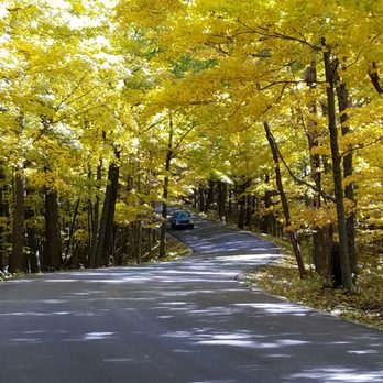 Brown County State Park - Yellow leaves line the roadway - Hiking Near Me - Nashville, Indiana Brown County State Park - Yellow leaves line the roadway - Hiking Near Me - Nashville, Indiana